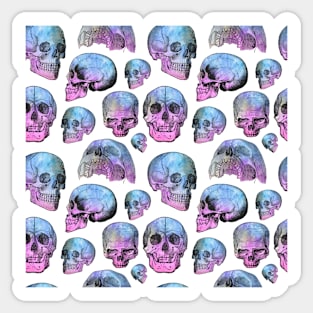 Vintage Anatomy Illustrations - Skull Pattern Sticker